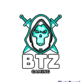 BRAWLERS TZ GAMING
